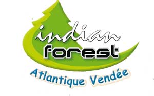 Indian Forest
